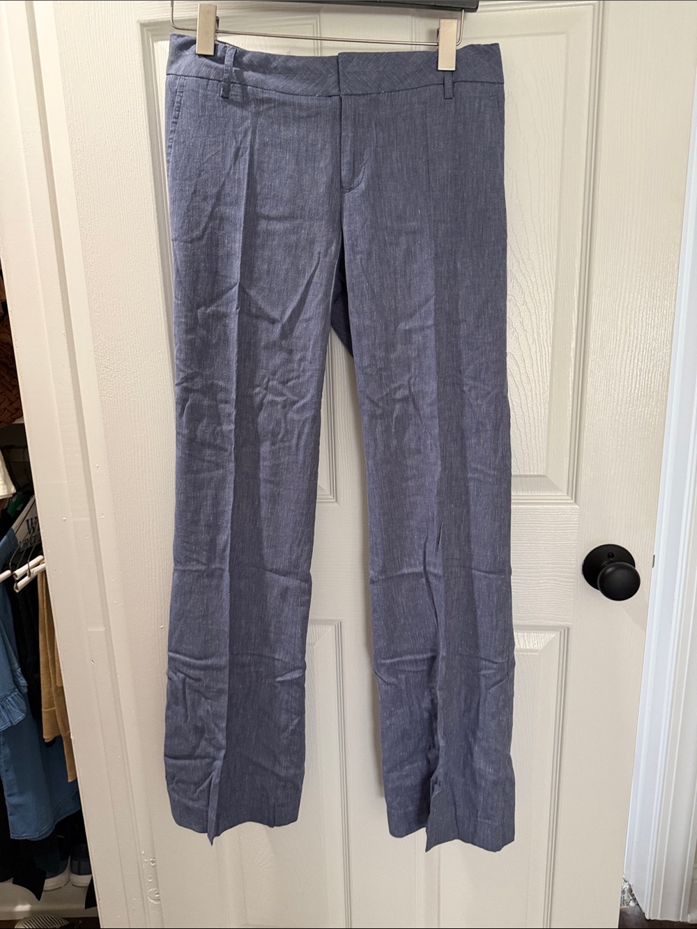 Banana Republic Factory “Martin” Fit Women's Blue Trousers